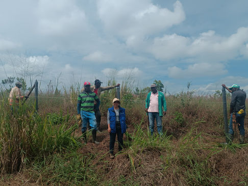 personas de la comunidad del palenque buenos aires cauca en el realizando el aislamiento del predio