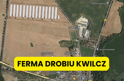 FERMA DROBIU KWILCZ (5)