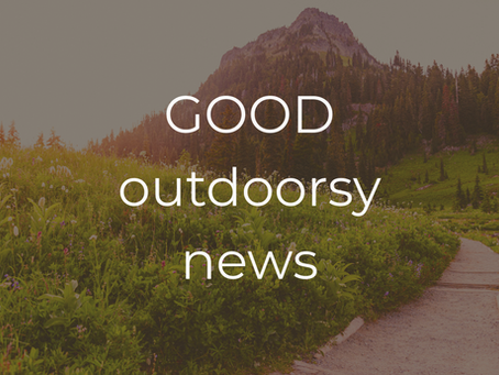 Good outdoorsy news: Celebrating unionized NPS employees, public land protections, Indigenous land restoration, wildlife preservation, and HOPE!