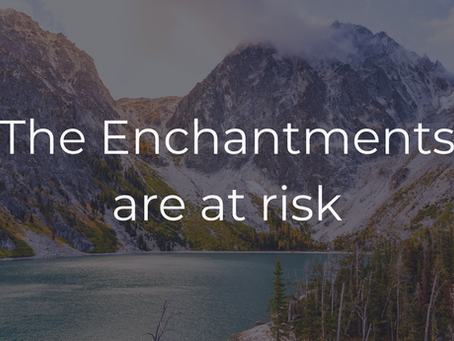 The Enchantments at risk: Why we must act now, and how you can help