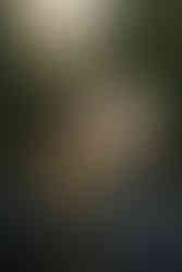 Protesting at Mt. Rainier National Park