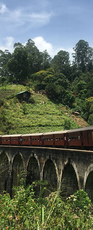 train.JPG