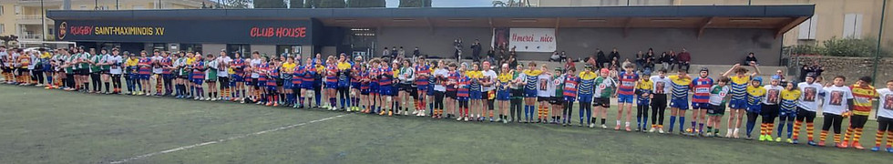 stade haie honneur.jpg