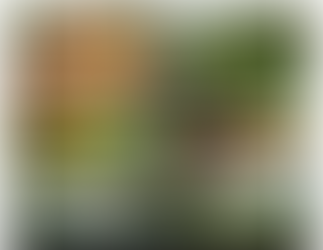 SERVICIOS ESTRATÉGICOS "OPERADOR TURÍSTICO EL MARAVILLOSO ARIARI"