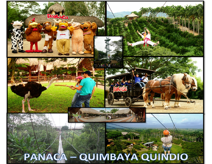 SERVICIOS ESTRATÉGICOS "OPERADOR TURÍSTICO EL MARAVILLOSO ARIARI"