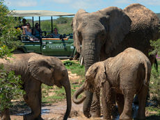 Nieuwe e-learnings Zuid-Afrika online 