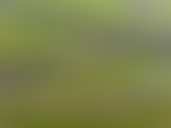 Nu ook naar Aarhus, Katowice, Asturië en Orlando vanaf Schiphol