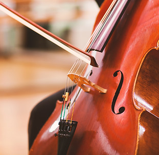 Violoncello