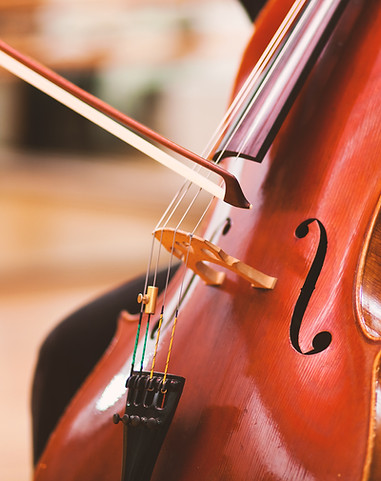 Violoncello