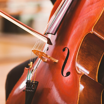 Violoncello