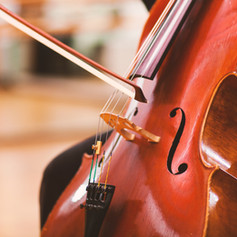 Violoncello