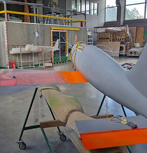 20250925_140444 (1).jpg