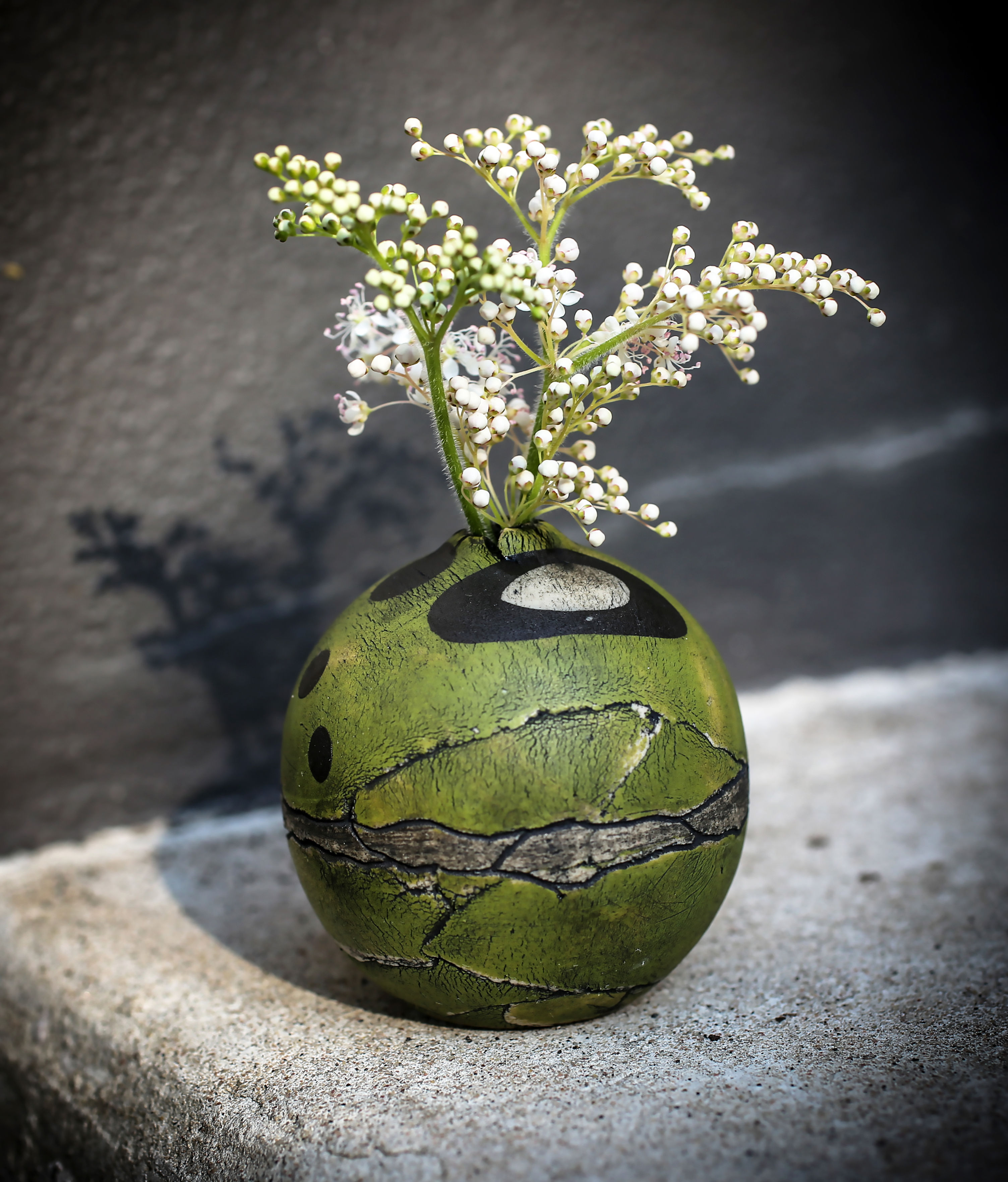 Earthling - Evergreen