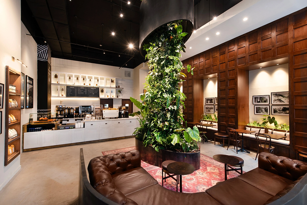 Image source: Devoción Official Website