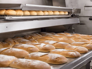 Bakery Bread Dough Proofing 101: Commercial Bakery Equipment and Techniques Explained