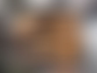 How to Choose Large-Volume Industrial Ovens for High-Output Commercial Bakeries