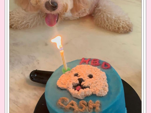 Dogs are in our laughter. Pleasure to bake a pawcake for Cash's birthday on 14 Feb 23.