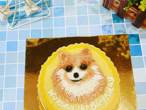 Wukong's 1st birthday!