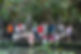 Collyer Bali 01.jpeg