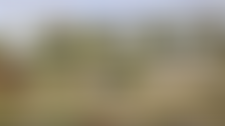 Happy International School Grounds Month!