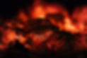Smokeless Coal Image - Derrys Nurseries.webp
