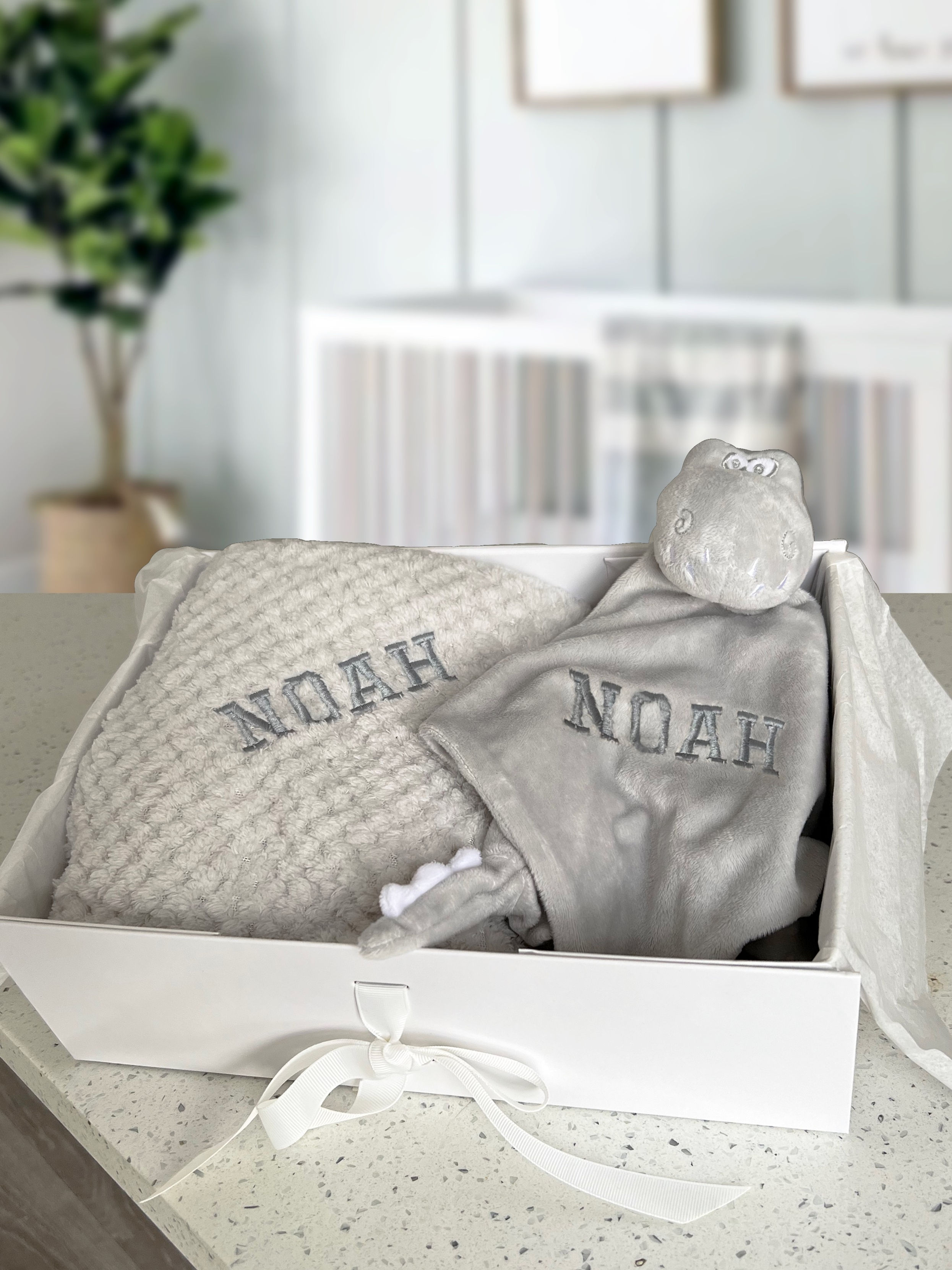 Grey Dinosaur Comforter and Blanket