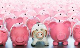 Pay “Guinea” Pig