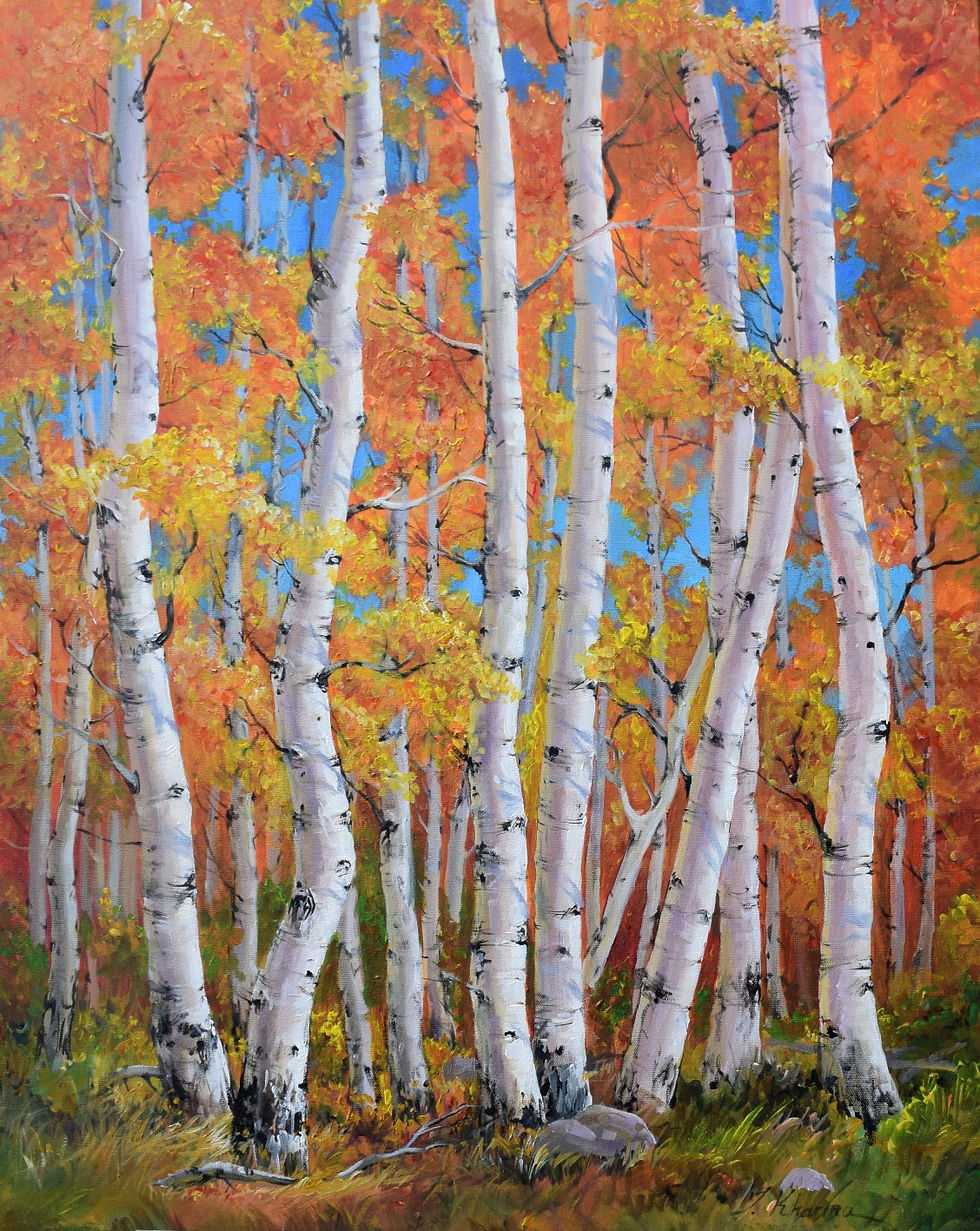 "Aspen Grove"