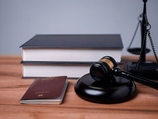 Immigration Law
