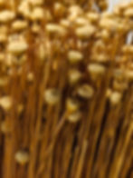 Thumbnail: Paixão Bracelet