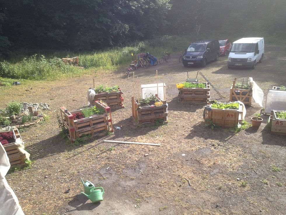 82DA623D-4F17-4638-B0D6-9B270ABC7CF3_1_105_c