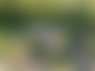 F.I.N.K.e.V. sucht Fördermitglieder