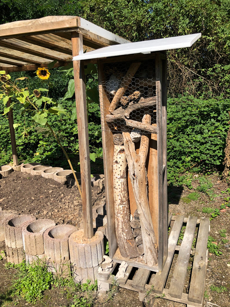 A19747BC-2ADF-4539-BE64-811B843500CB_1_105_c