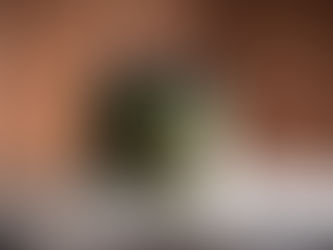 Два взгляда – один бренд: история La mela – Динара Касенова и Жанна Сариева