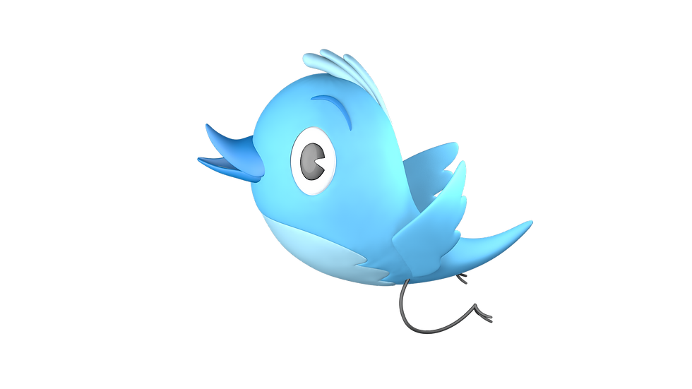 3D Twitter Bird