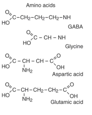 The common amino acid neurotransmitters mentioned above. Above, you can see a common carboxyl group, amino group, carbon atoms & variable chains of different elements & arrangements of them. Amino acid neurotransmitters are mostly involved in bridging the gap between cognitive, physiological & bodily functions that are often unchecked by other systems of the body. Retrieved from https://courses.lumenlearning.com/suny-dutchess-anatomy-physiology/chapter/neurotransmitters/.