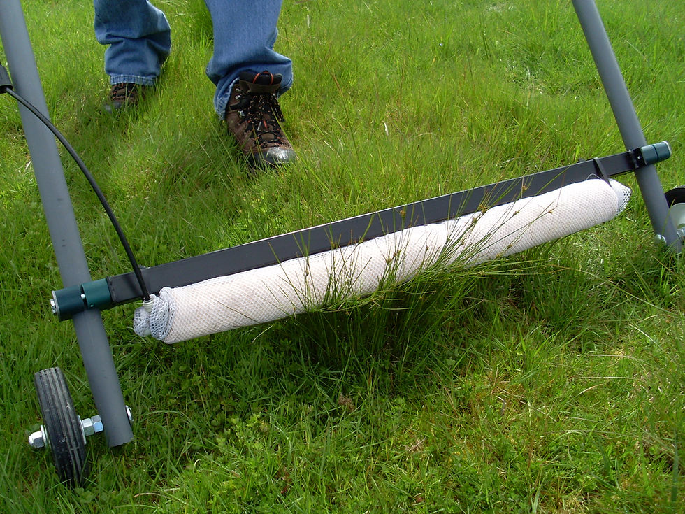 Thumbnail: 30" Hand Push Weed Wiper (WW30HP)