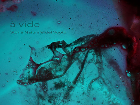 Francesco Massaro &  Bestiario                  -                 à vide - storia naturale del vuoto