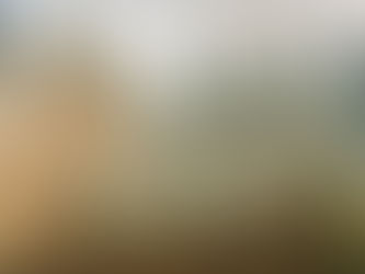 Benzina agricola e tabacco