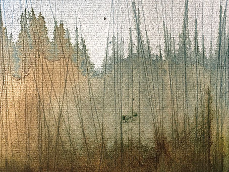 Benzina agricola e tabacco