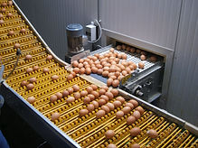 Transportadores Industriales para Diversas Aplicaciones, Transportadores para Mineria, Transportadores para Industria Alimenticia, Transportadores para Tarimas de Carga Pesada, Mesas de Transferencia Bolas de Transferencia, Diseño y Fabricacion de Transportadores Industriales, Transportadores y Construcciones Industriales, Bandas Transportadoras Industriales, Transportadores para Industria Alimentaria
