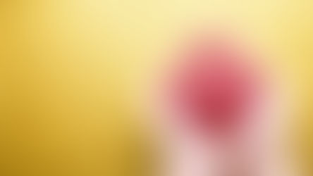 RiskSTOP Group staff support 45 charities through payroll giving