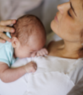 Marquiz Images 340 x 460.png