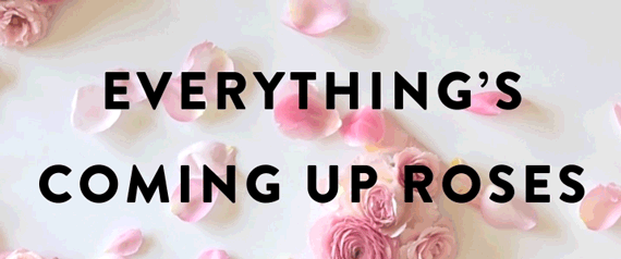 CA_RoseStory_Blog_Header_570x238_v5_042516.gif