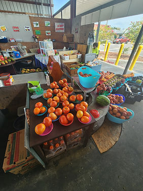 20230822_124310 (1).jpg