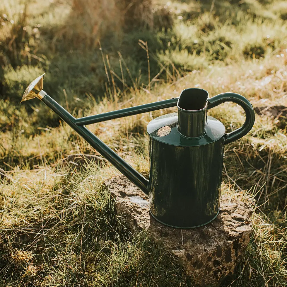 Miniaturebillede: HAWS Vandkande - Grøn