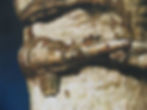 Wandoo (detail)