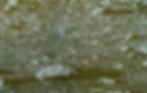Home Turf 4 (detail)