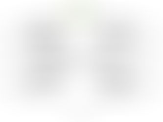 Cuartos de final del Mundial!!!