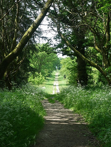 Mortimer Trail.jpg